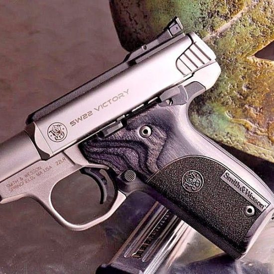 Smith and Wesson (S&W) Victory Pistol Grip Silver Black Stippled with