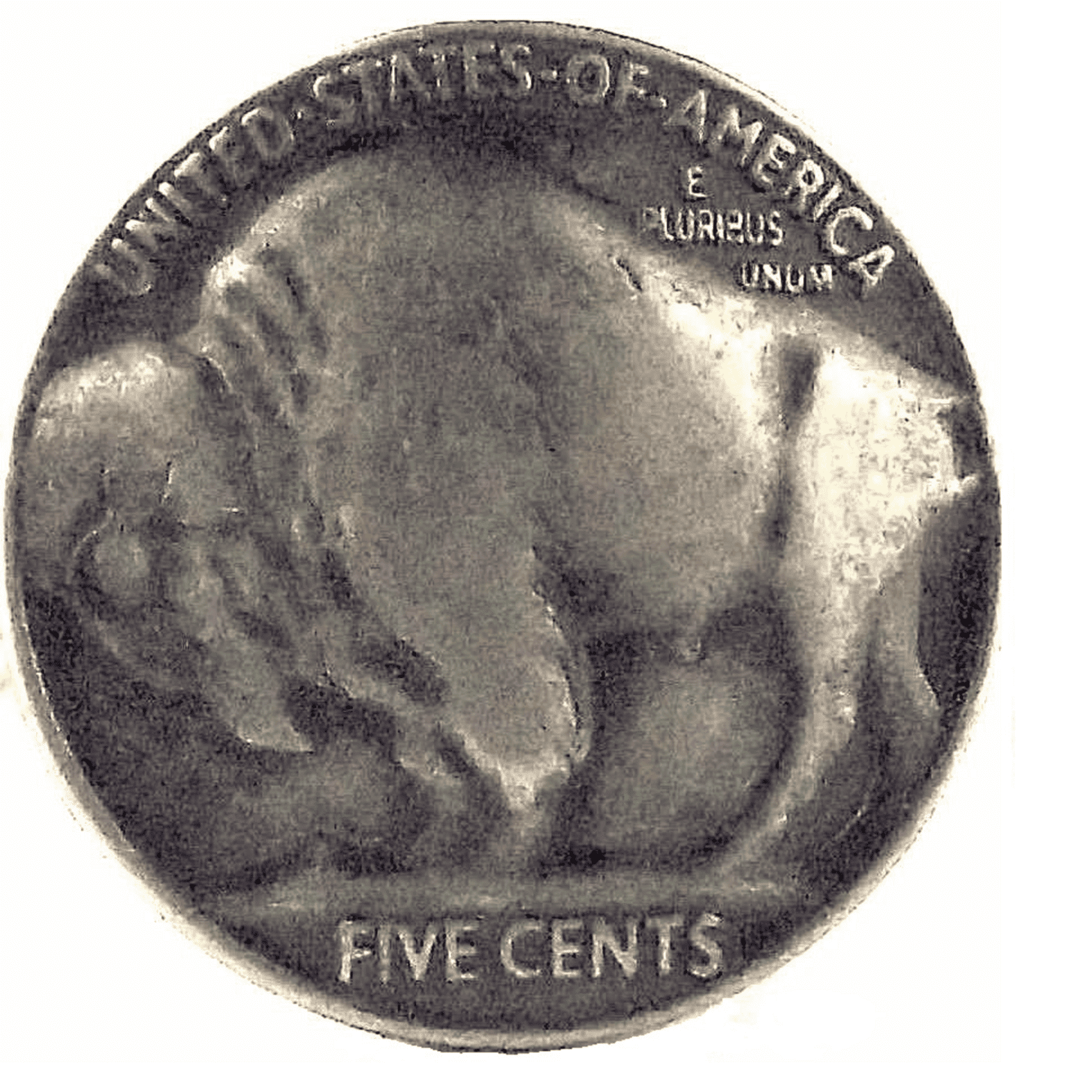 Buffalo Nickel Head Screw Back Concho 709322 The Sporting Jack